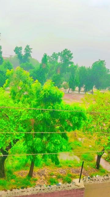 @❤️⃟ Mr Zeeshan❤️⃟