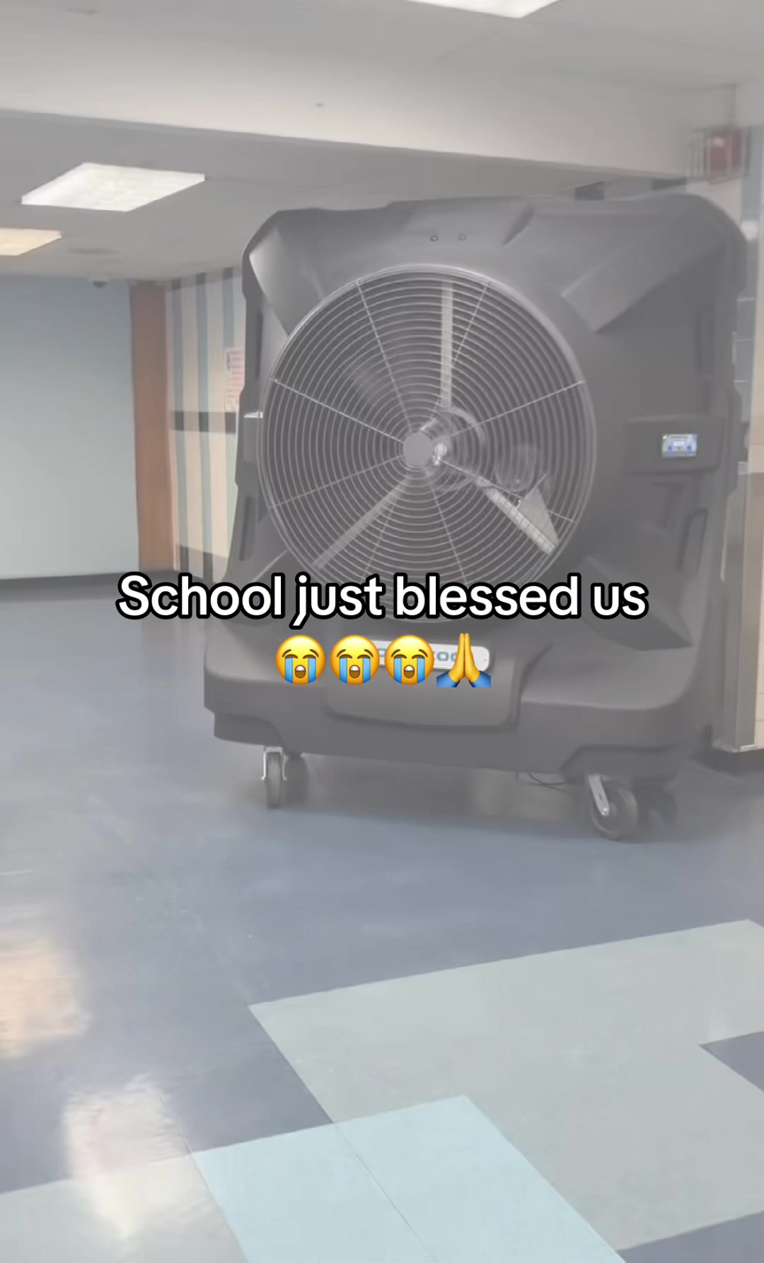 @Hxbitz