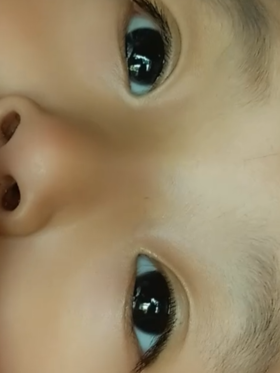 @🕊️
