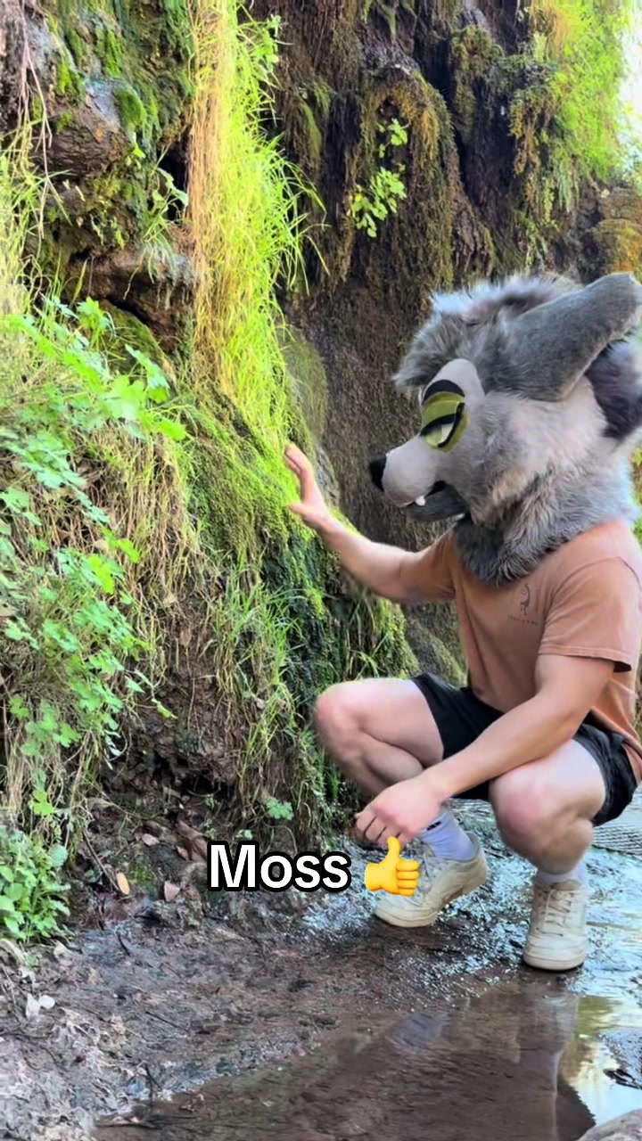 @Mossisdead