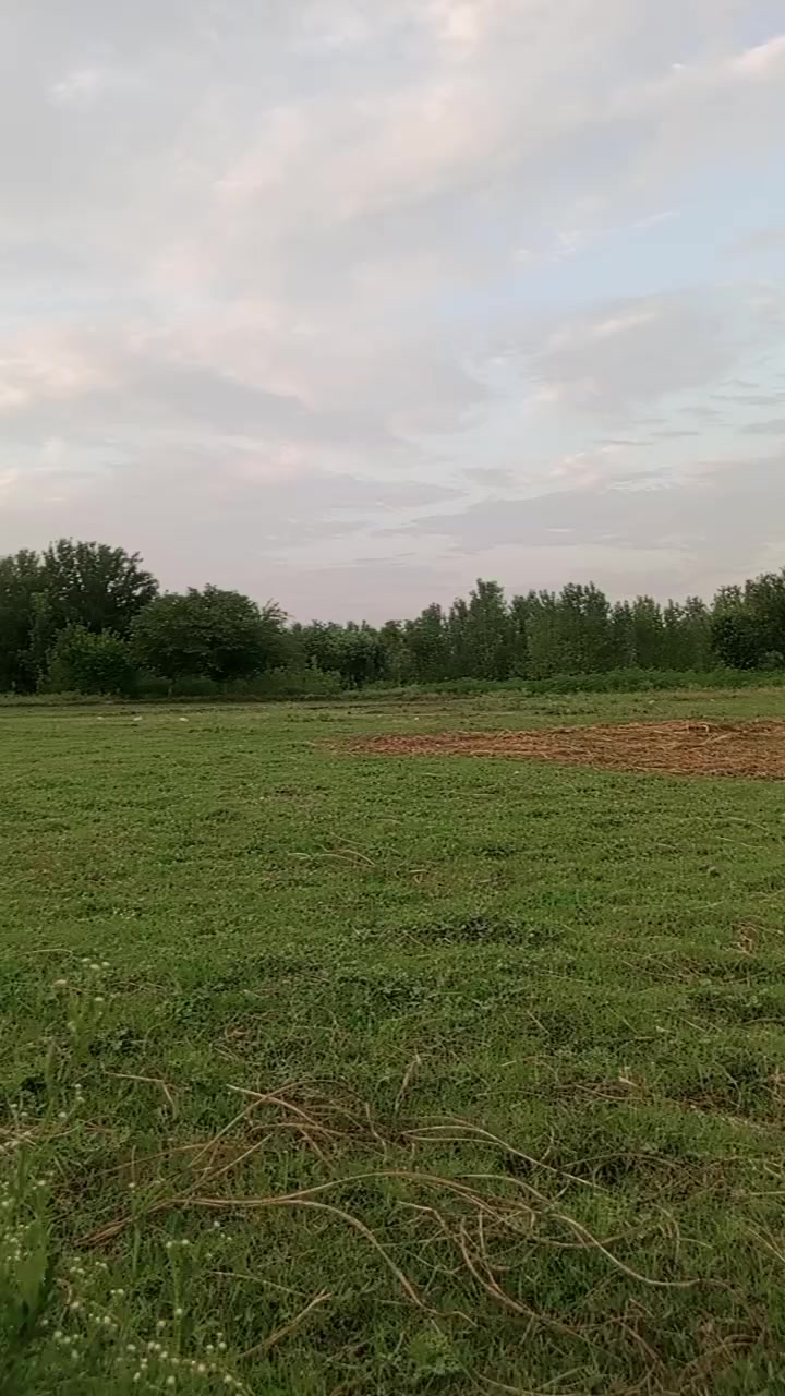 @𝐴𝑙𝑖 𝐴𝑓𝑟𝑖𝑑𝑖 🇩🇪