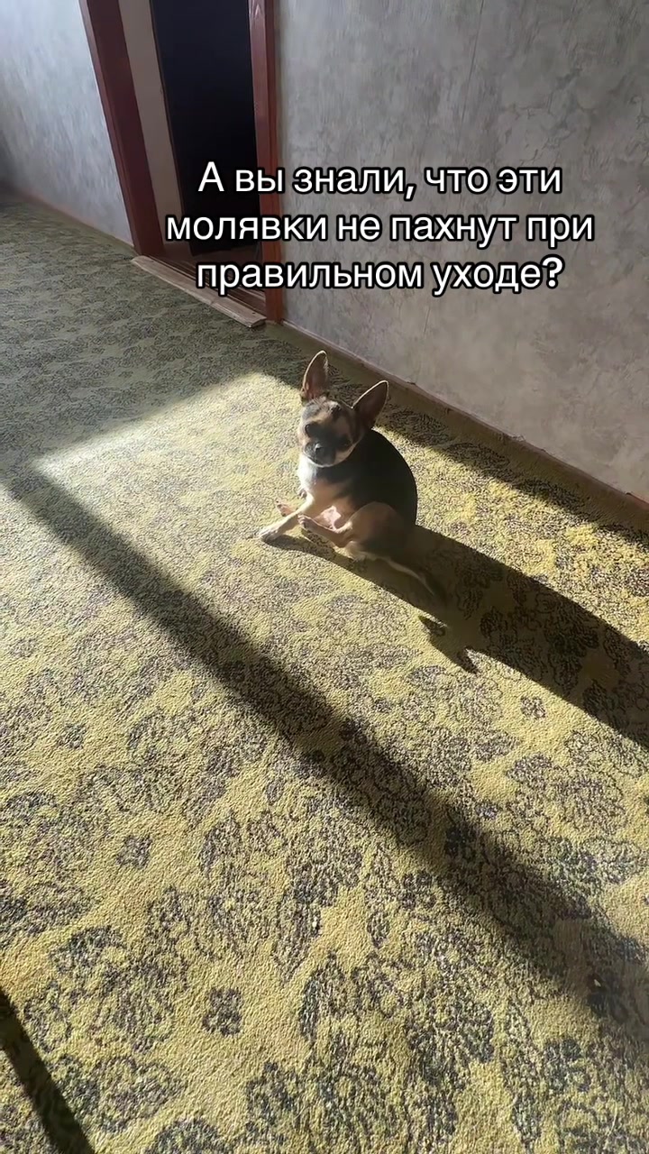 @Елена🇧🇾 Беларусь 🌺
