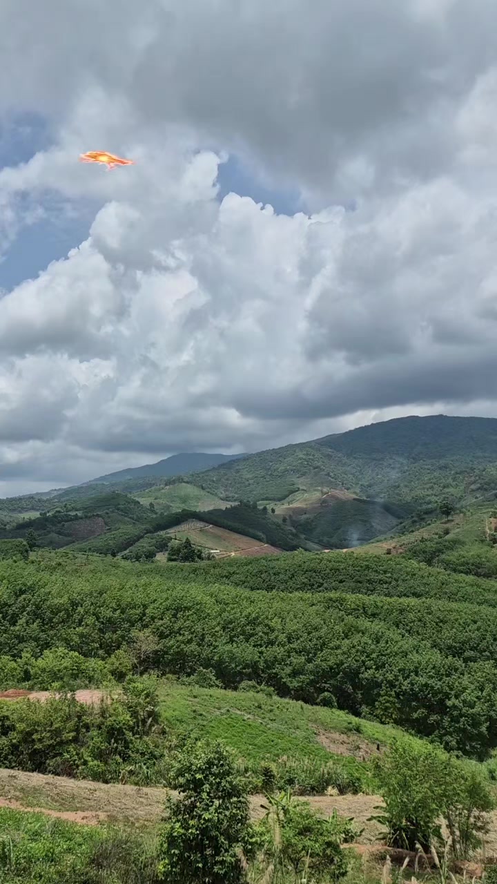 @Phanitphorn