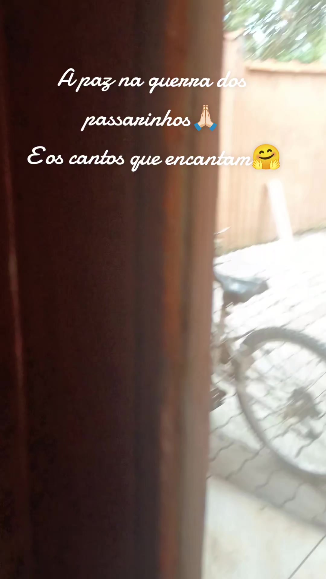 @Marcinha7313🎶🤘🎸