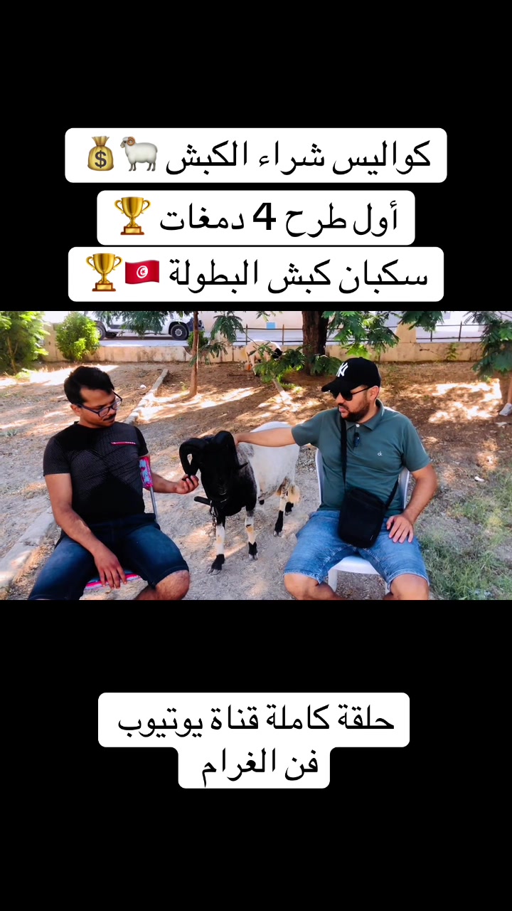 @سيف غرام زمان 🇹🇳