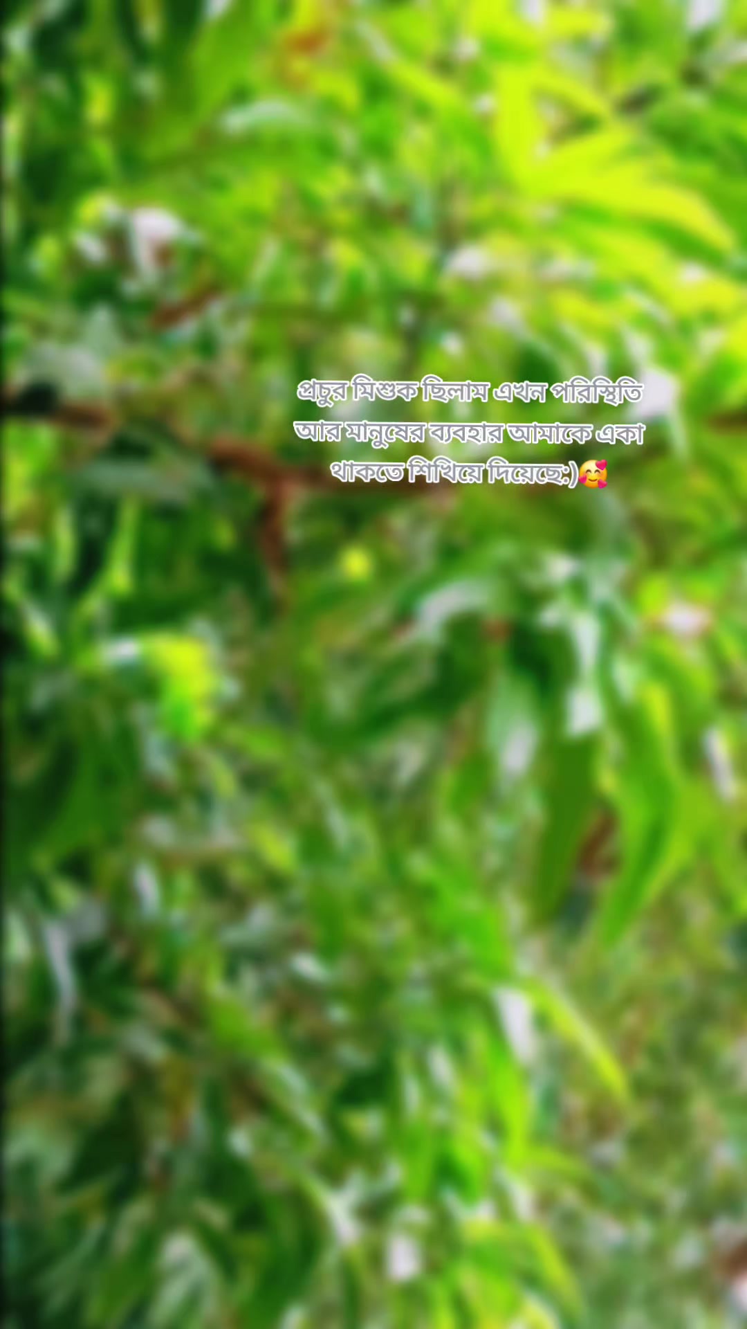 @Kim Puspo🦋🦋