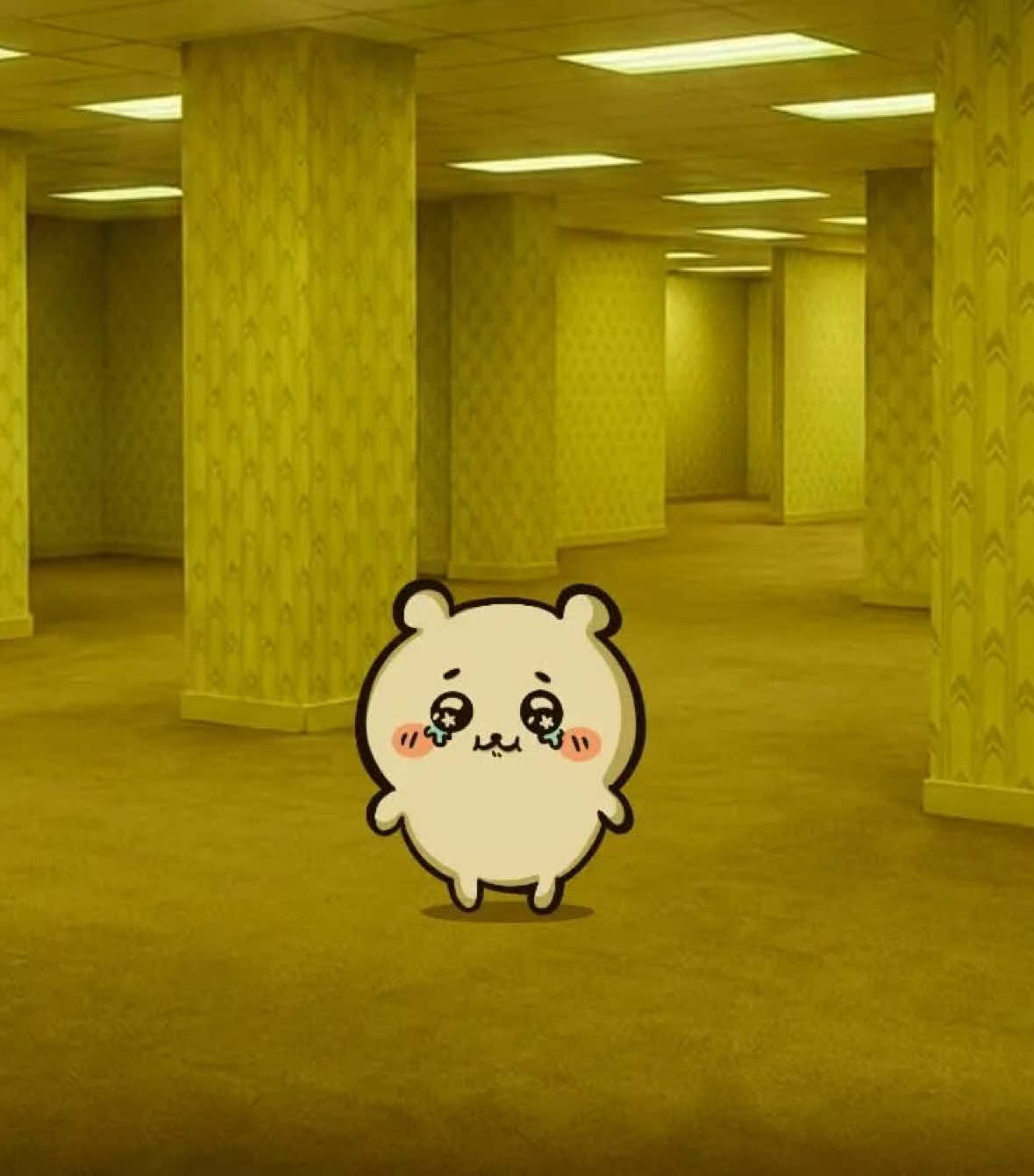 @๐ฆ๐๐๐ข๐ฌ๐จ๐ง