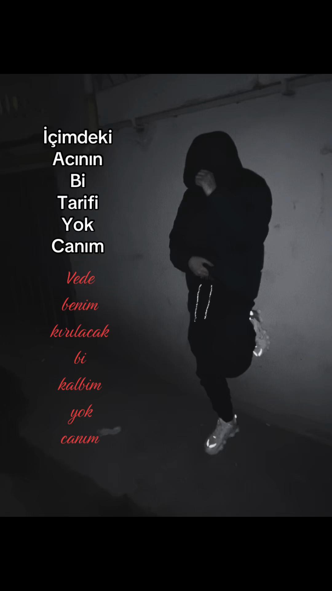 @Alper