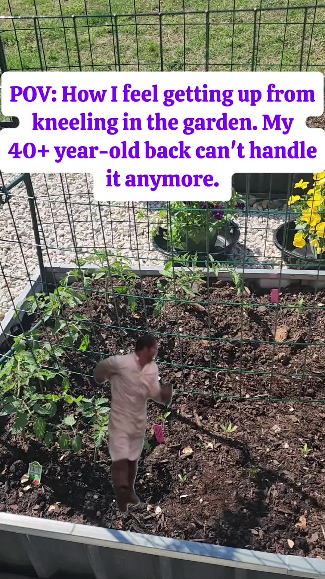 @Lana -🐕&zwj;🦺Dog Mom & Gardener