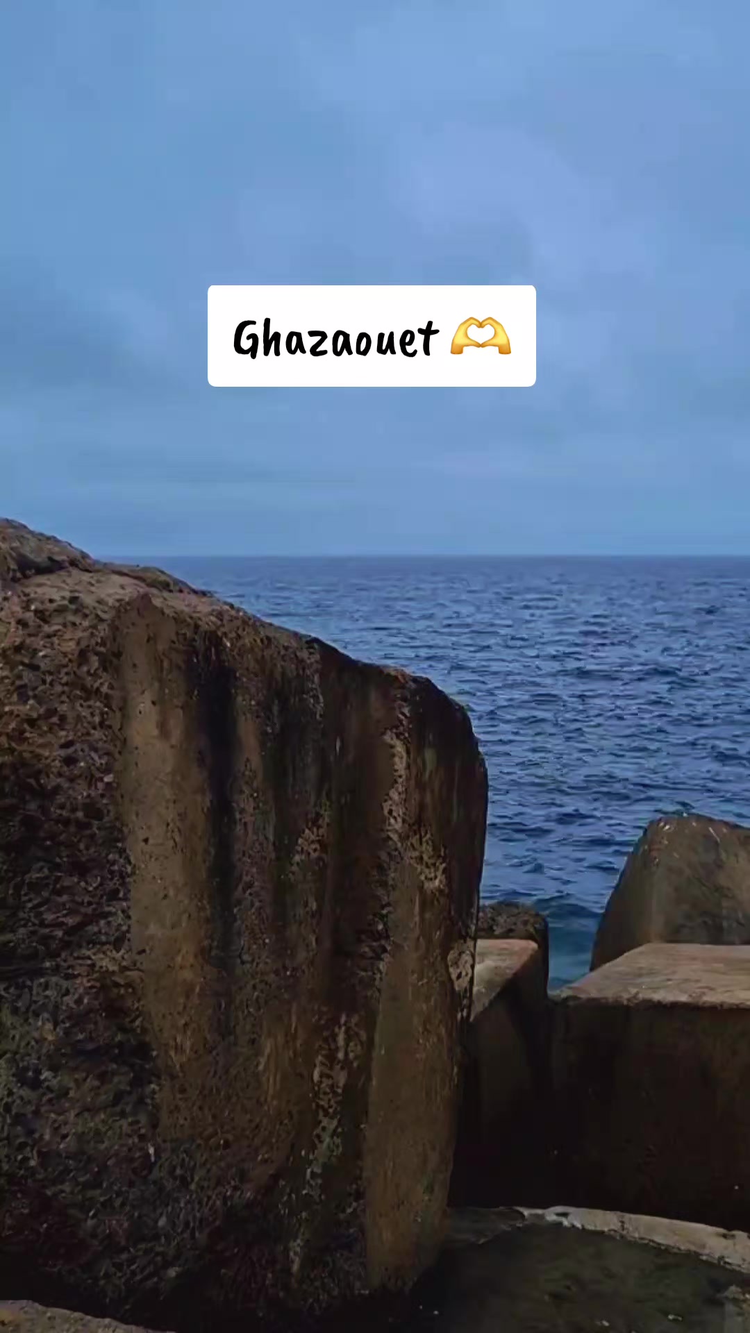 @Roza 🦋