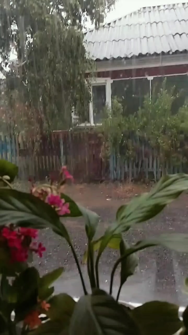 @Энджи