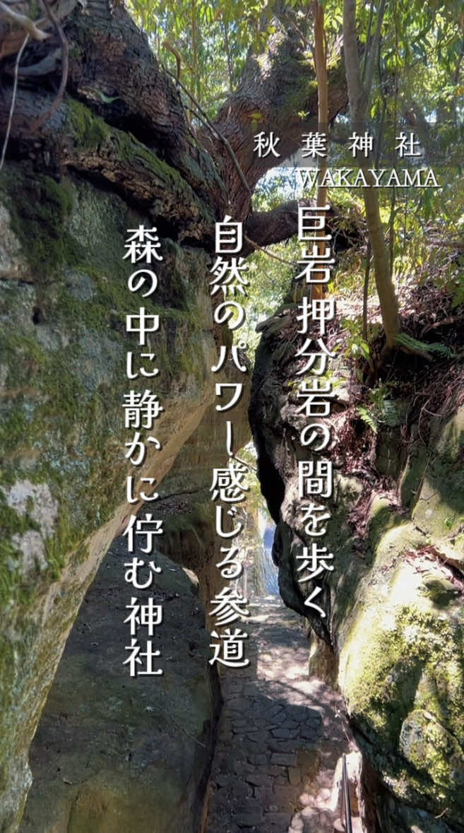 @こぺ夫婦🍊和歌山お出かけ、時々旅行。