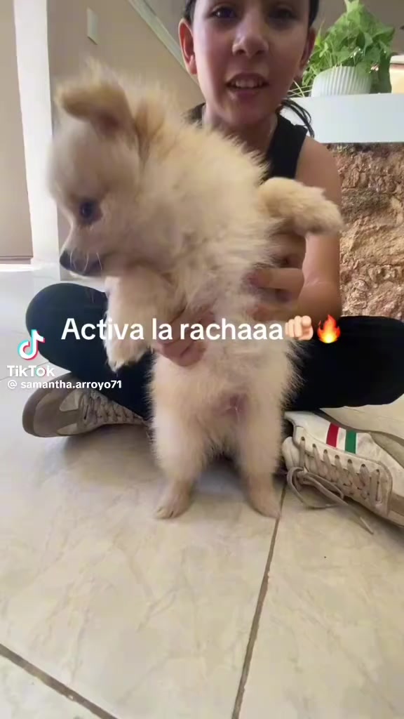 @👻meguru bachira tinaquito👻