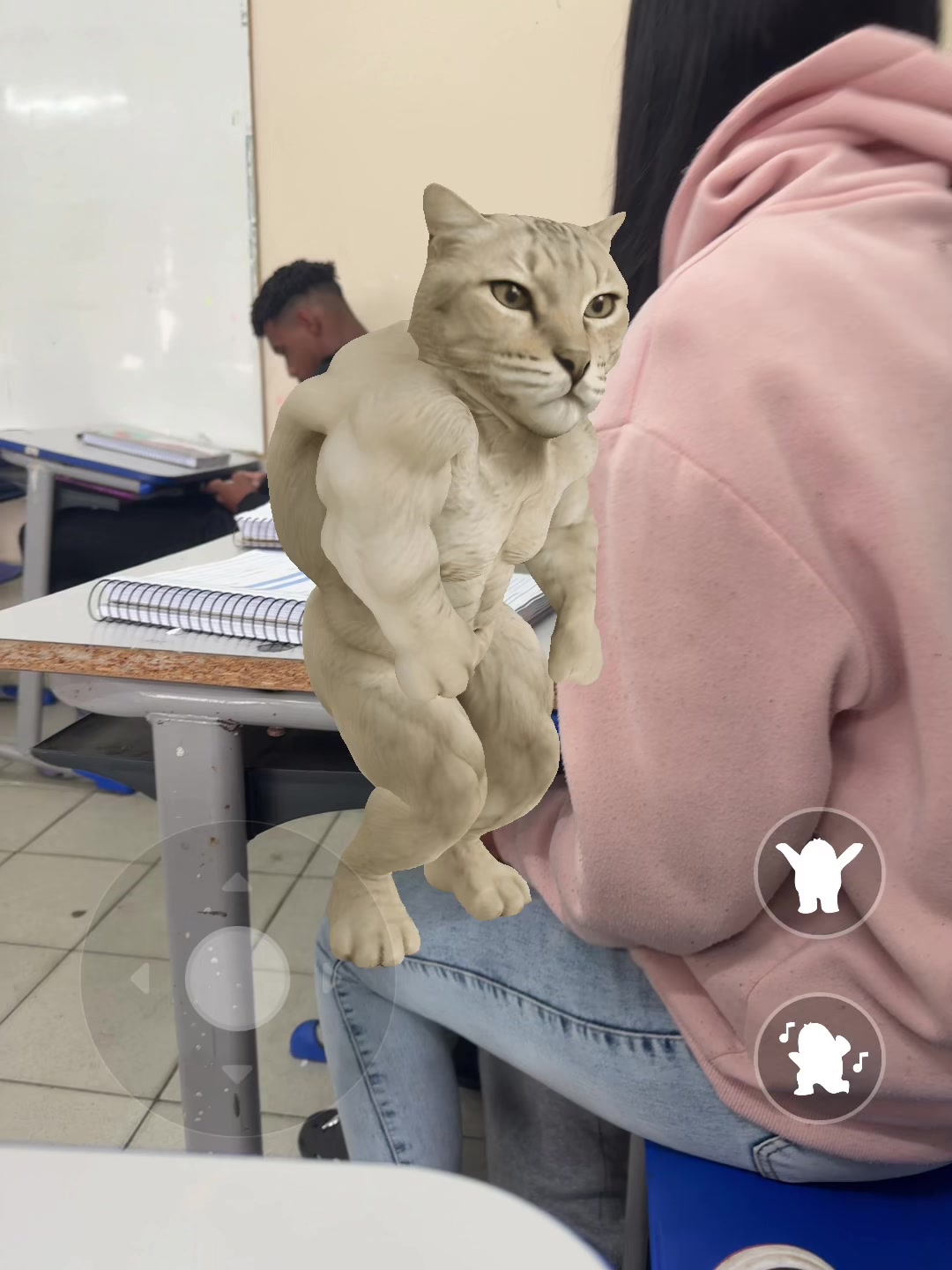 @Marcella Salu