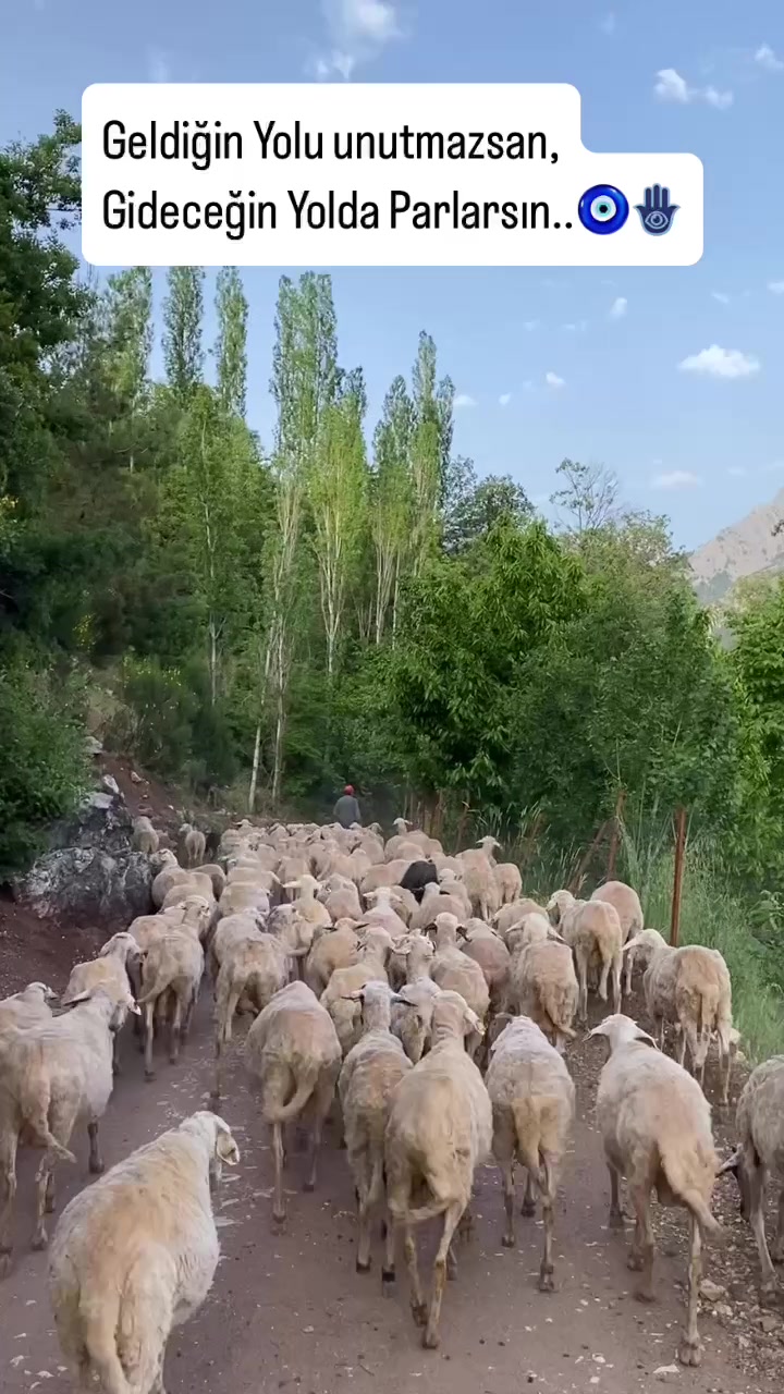 @Sarıtaş