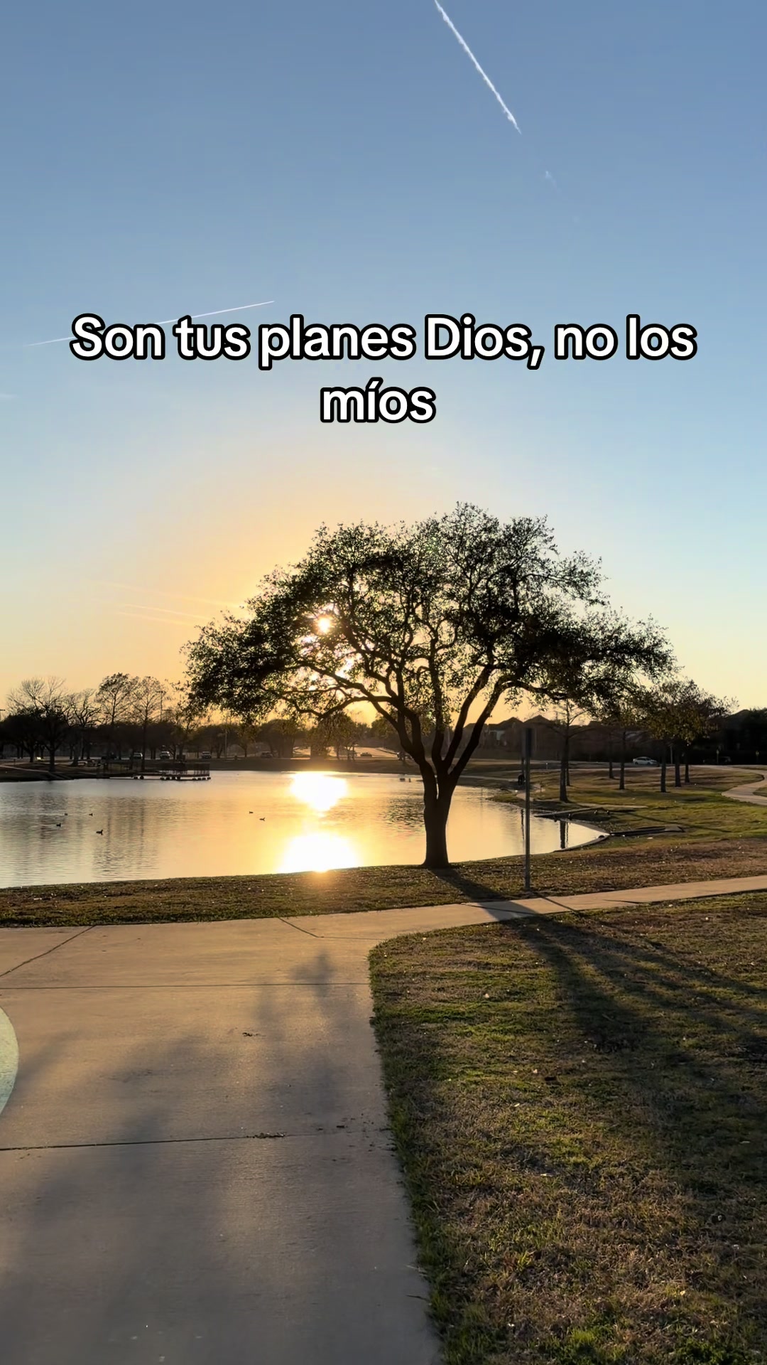 @Azucena Lopez