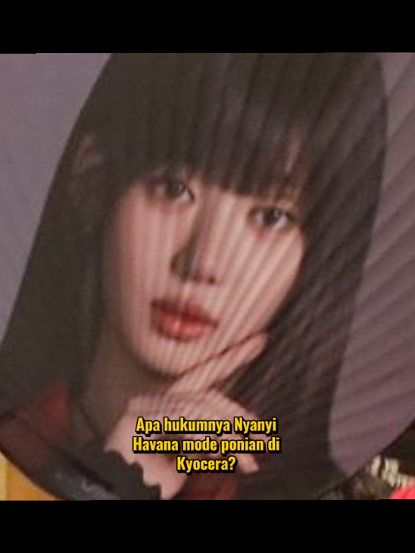 @M O Y