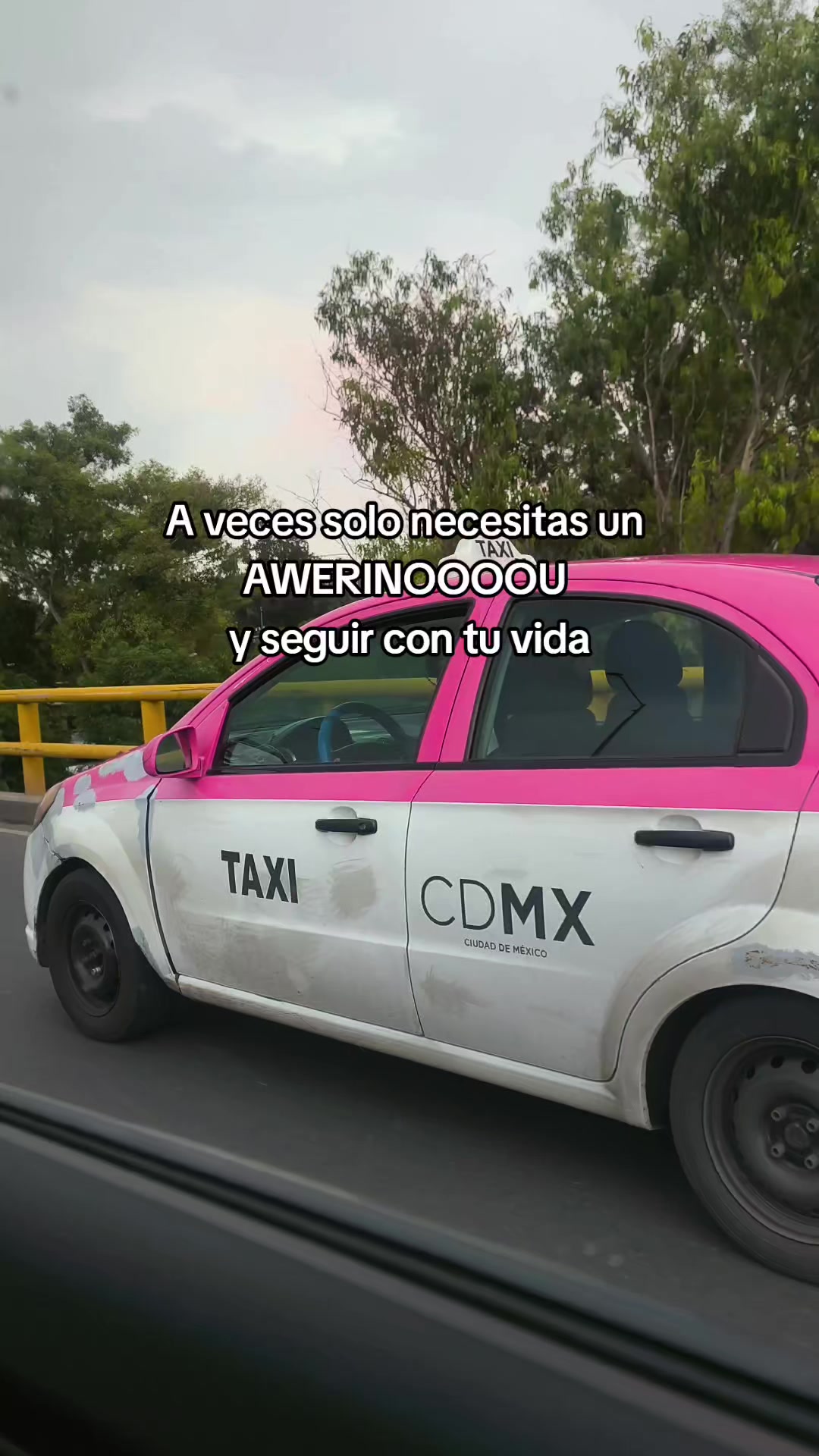 @Pauchaii