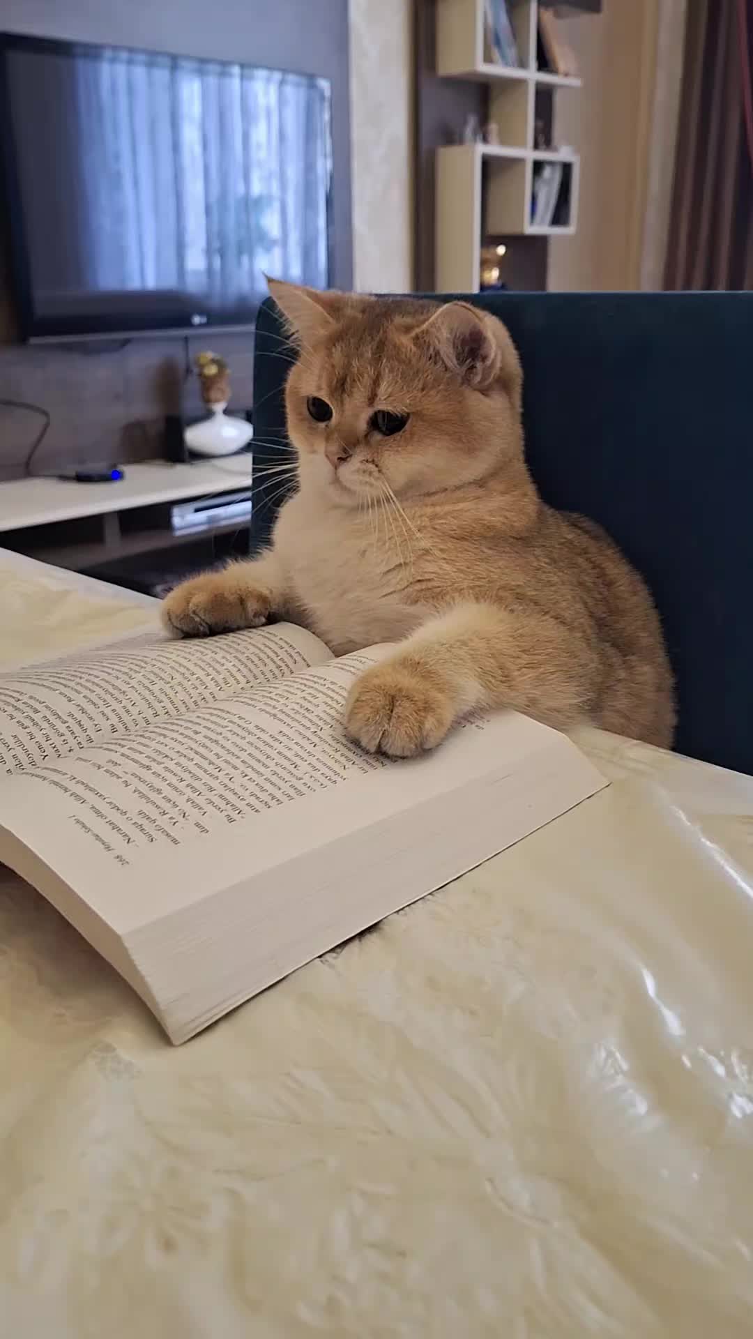@Zoo_JASMİN🦂🥰