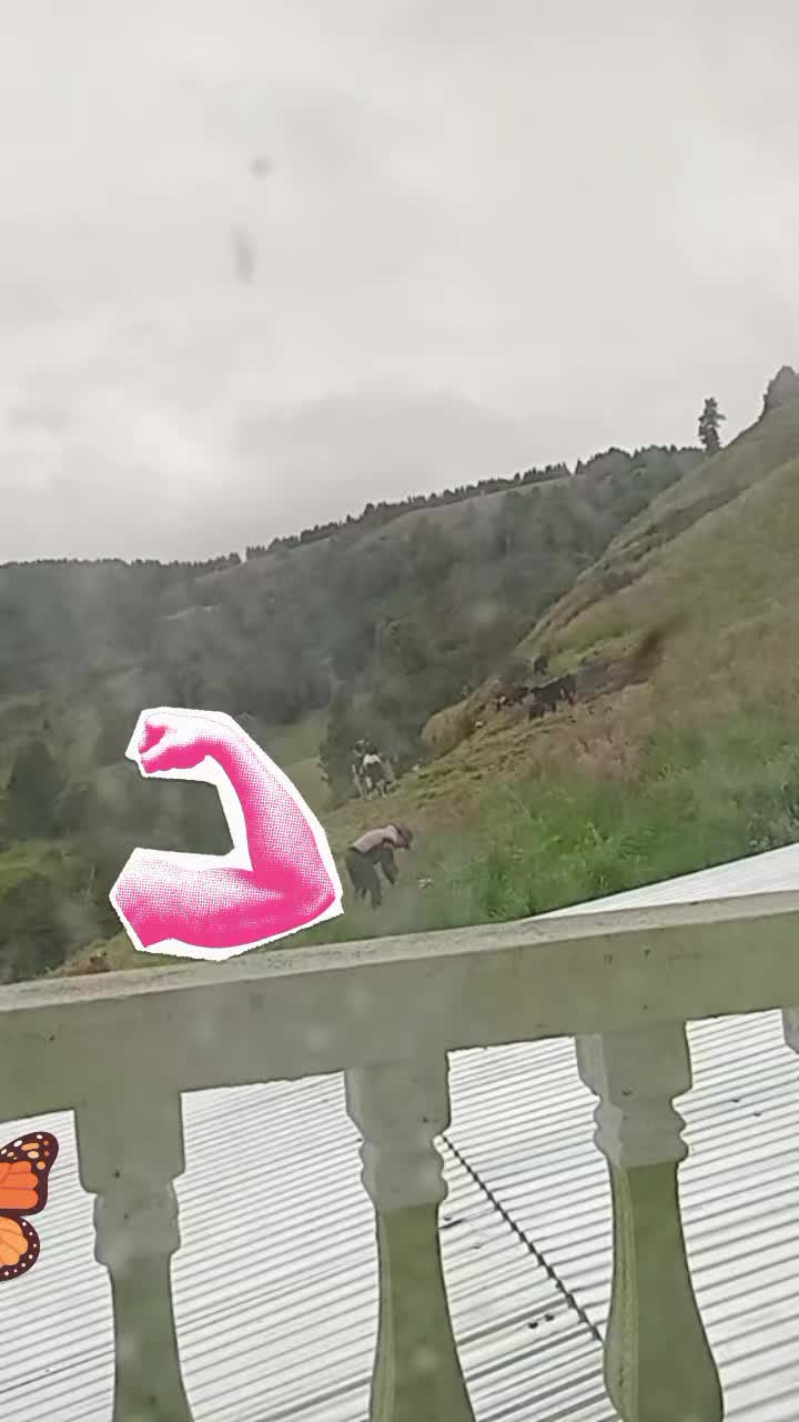 @Transito tenezaca
