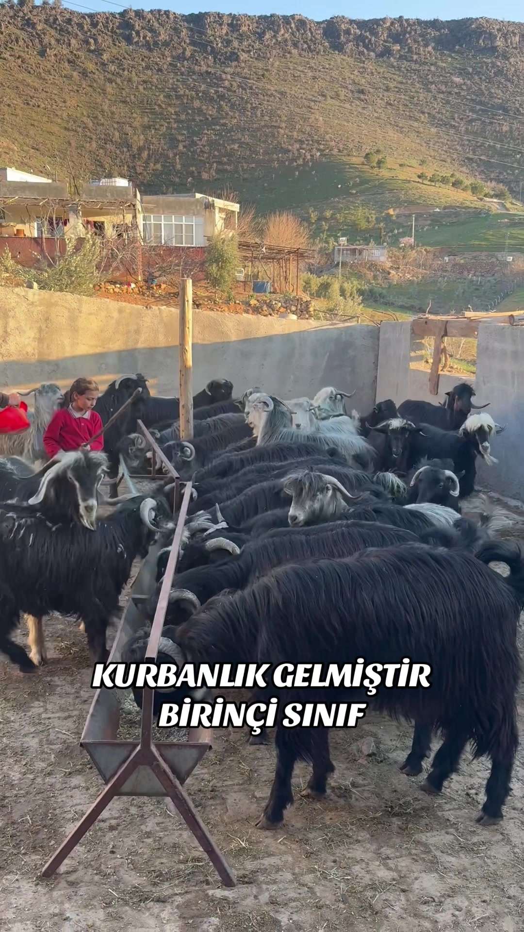 @HASAN AVŞAROĞLU🧿🌶️