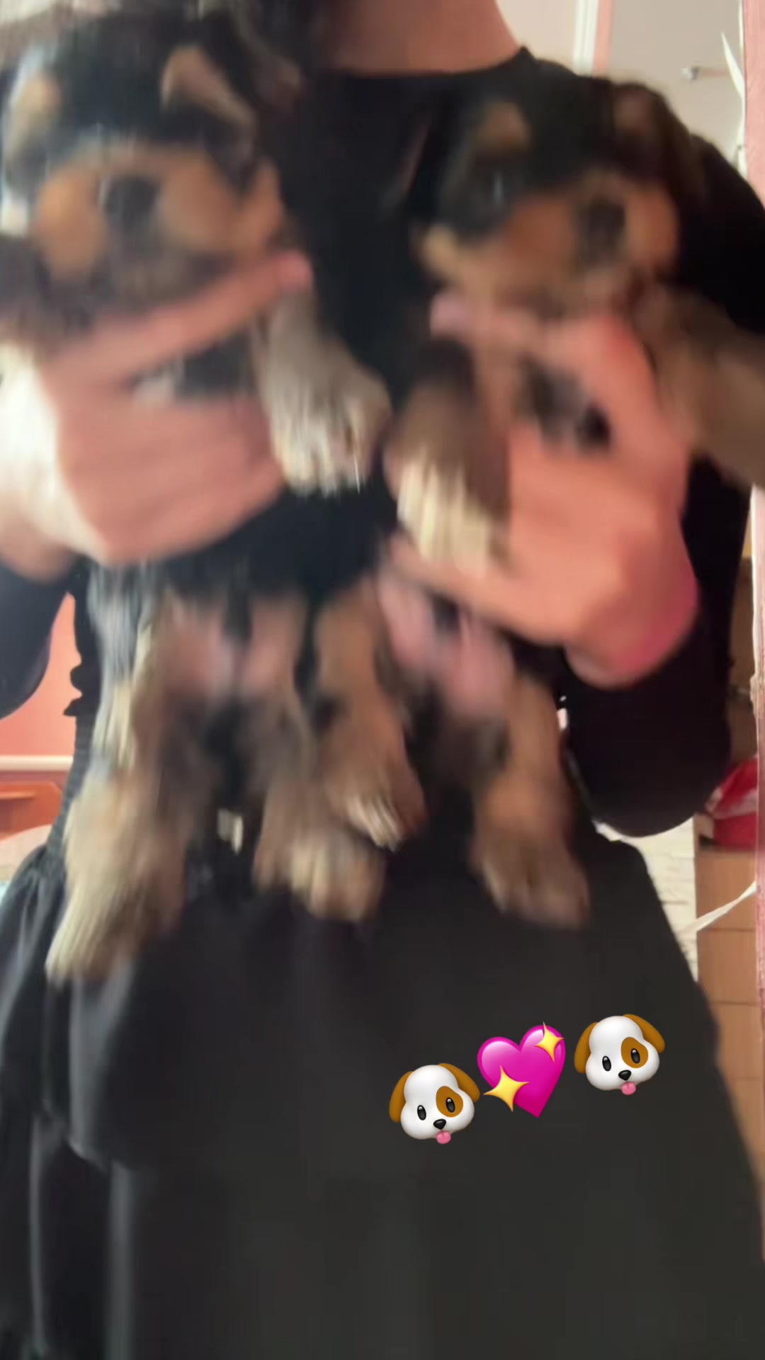 @✱