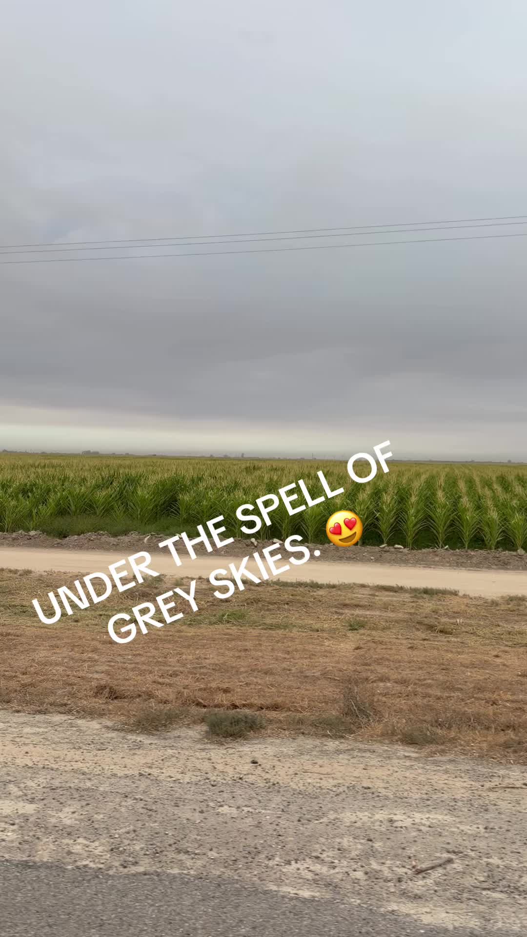 @GVT