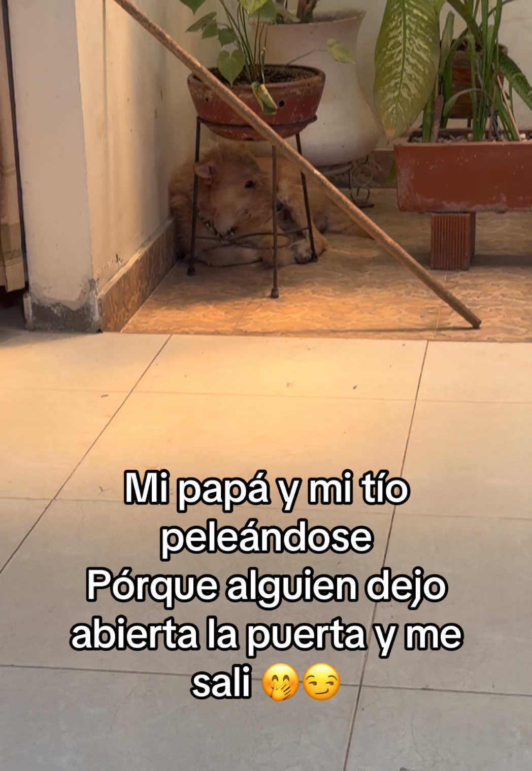 @Manuel Viveros