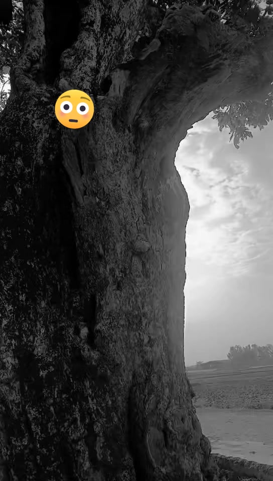 @Royal💕yadav ji🥰🥰