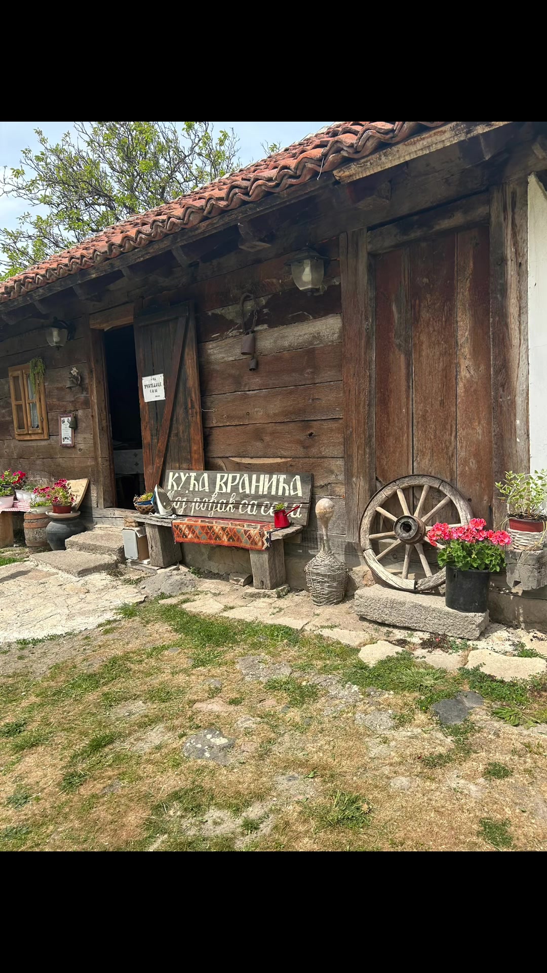 @Теодора Ивановић