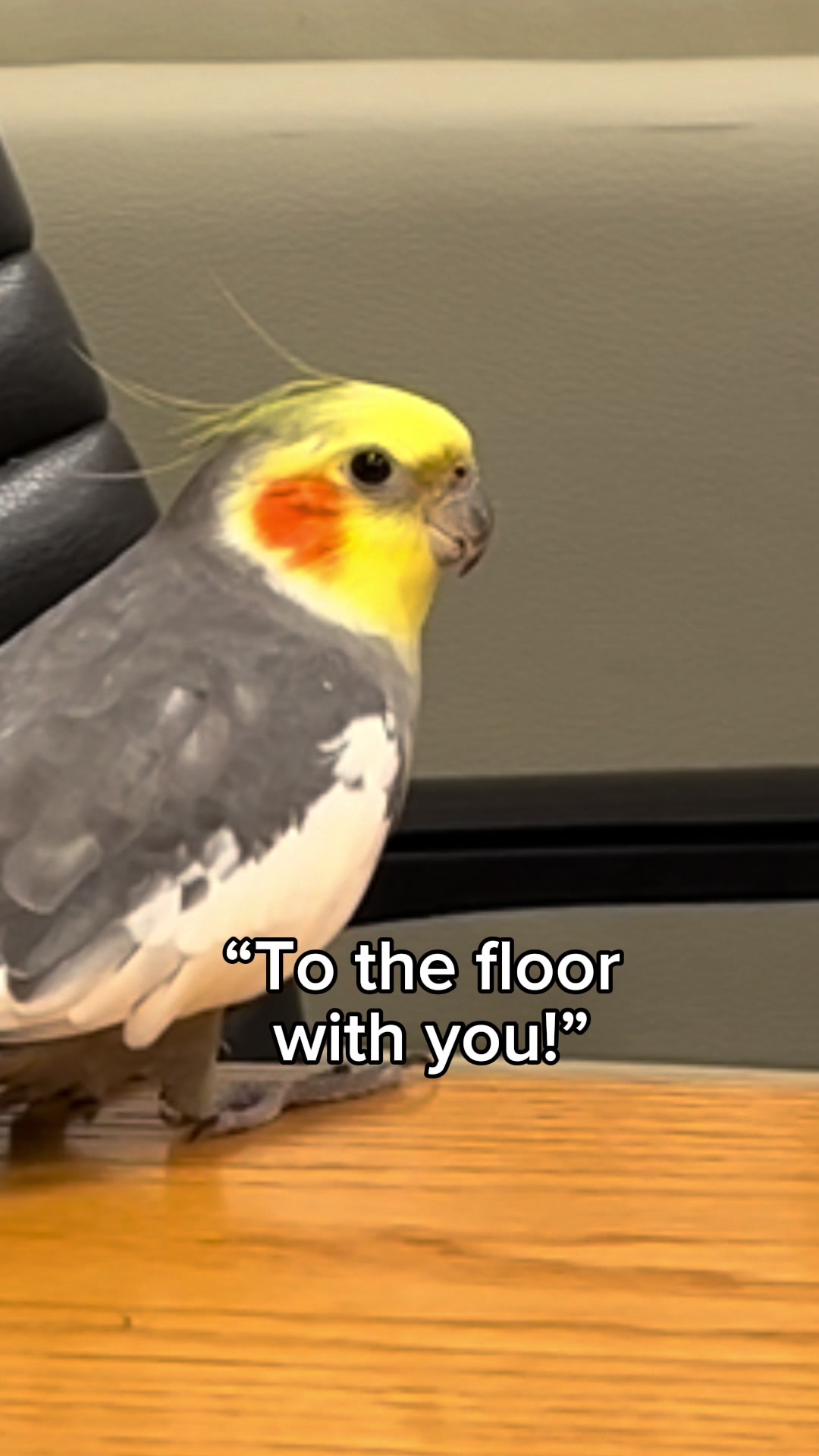 @Emery The Branch Manager