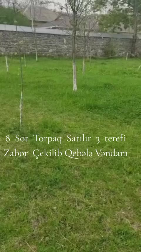 @Qebele Vendam.036