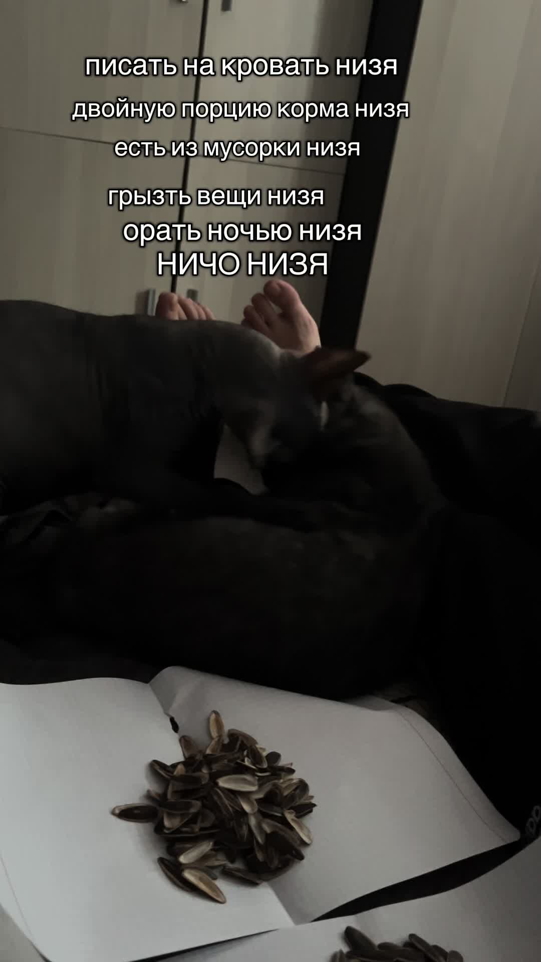 @вика)