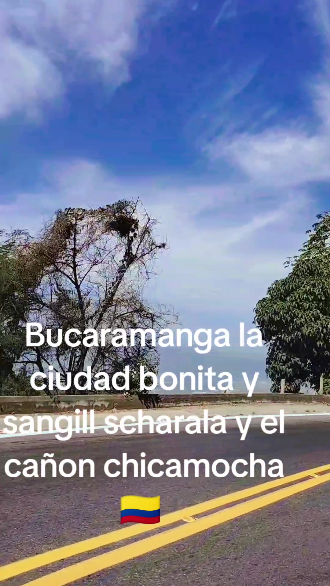@Martha Lucia Miranda