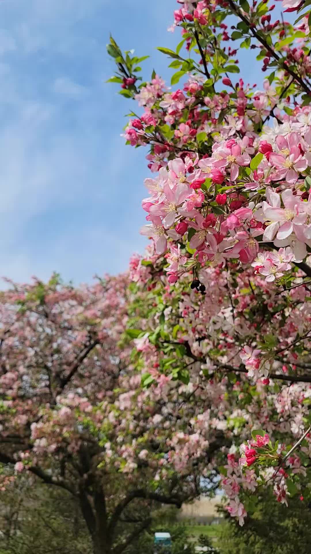 @NatureMan_Official_1