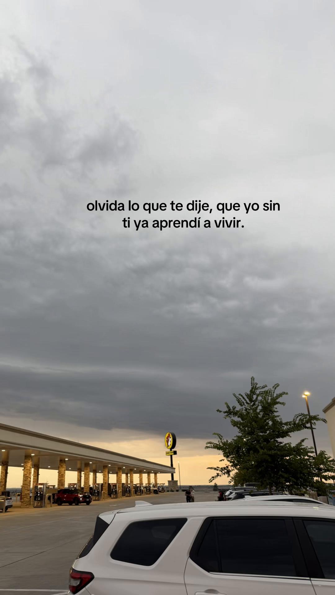 @giavibees