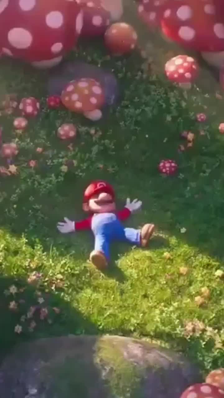 @modvince