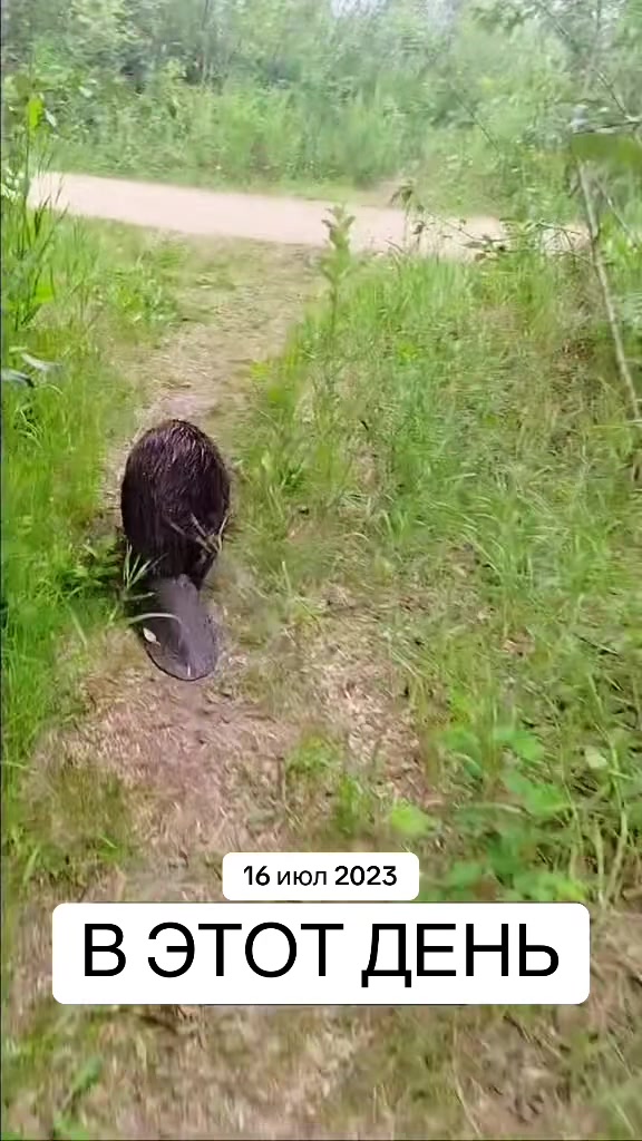 @Мона
