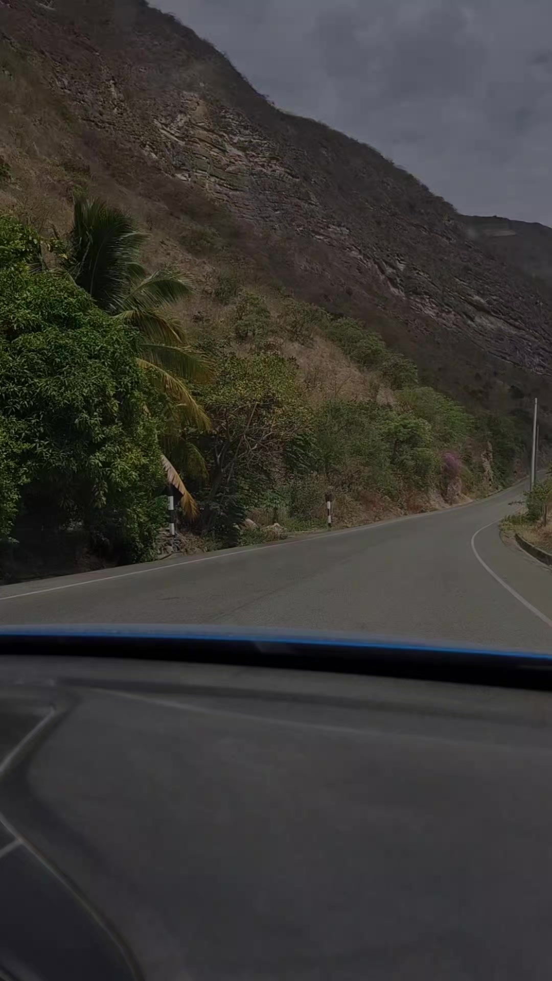 @DiaMar 🌻🇵🇪