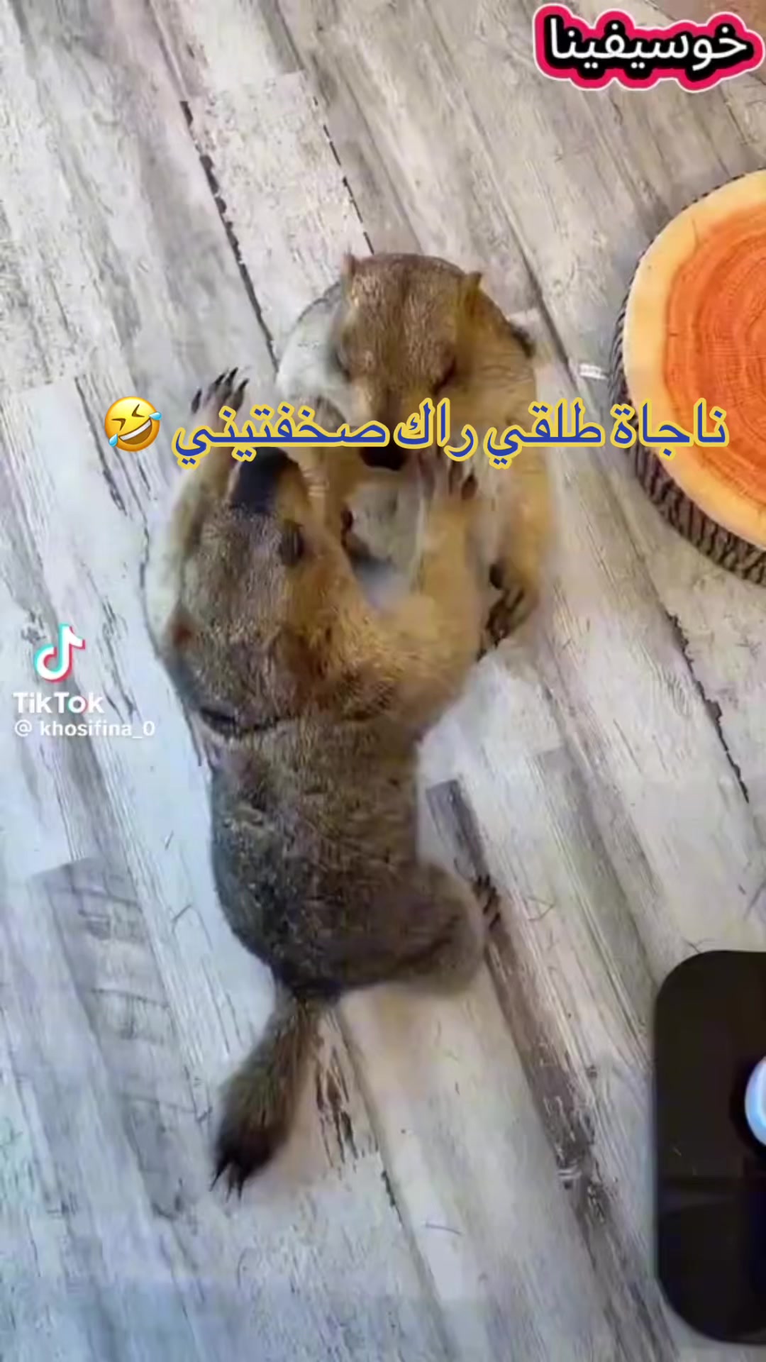 @أحلام💪🏻سلا وية🤝