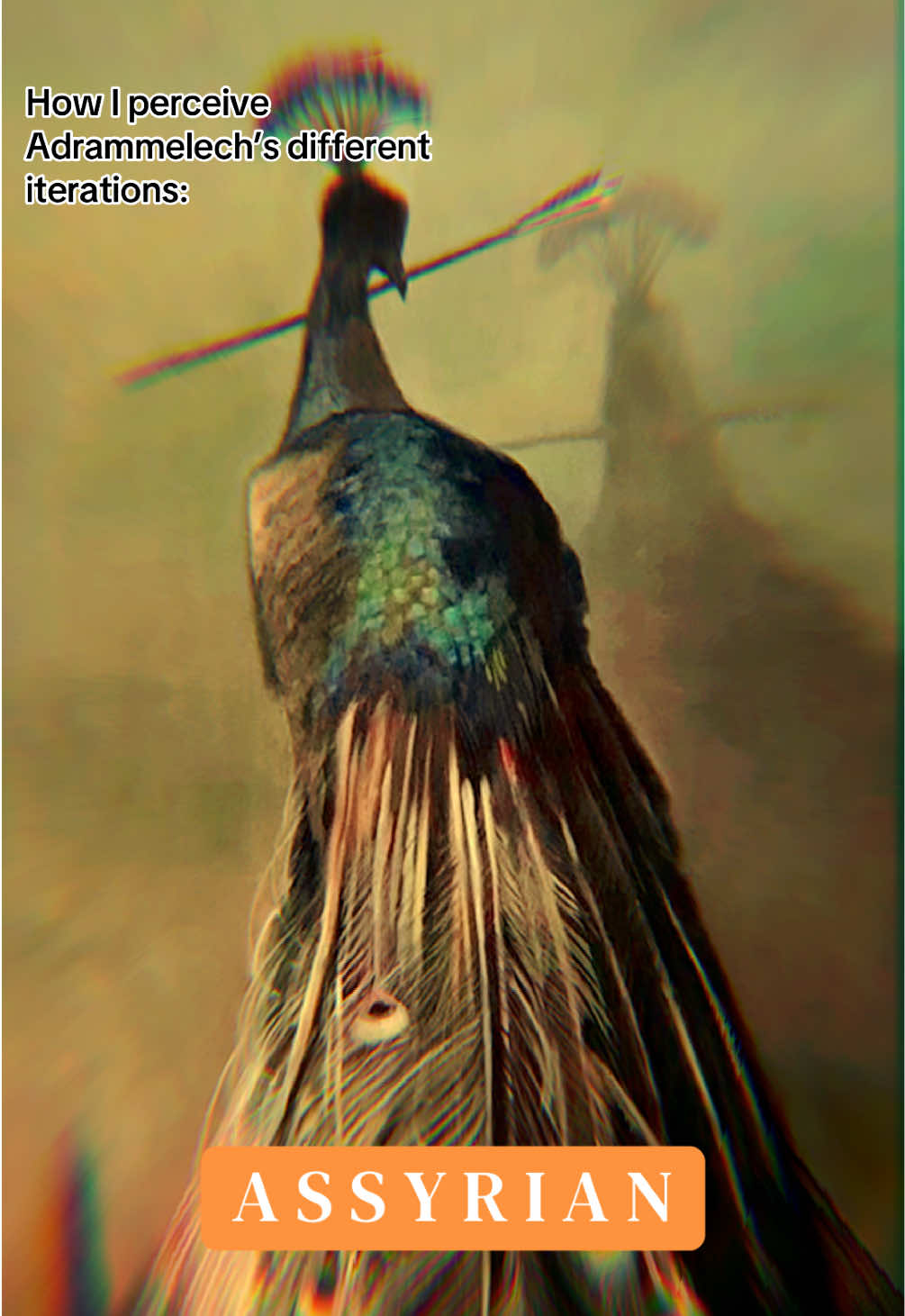 @𝔞𝔪𝔞𝔯𝔞