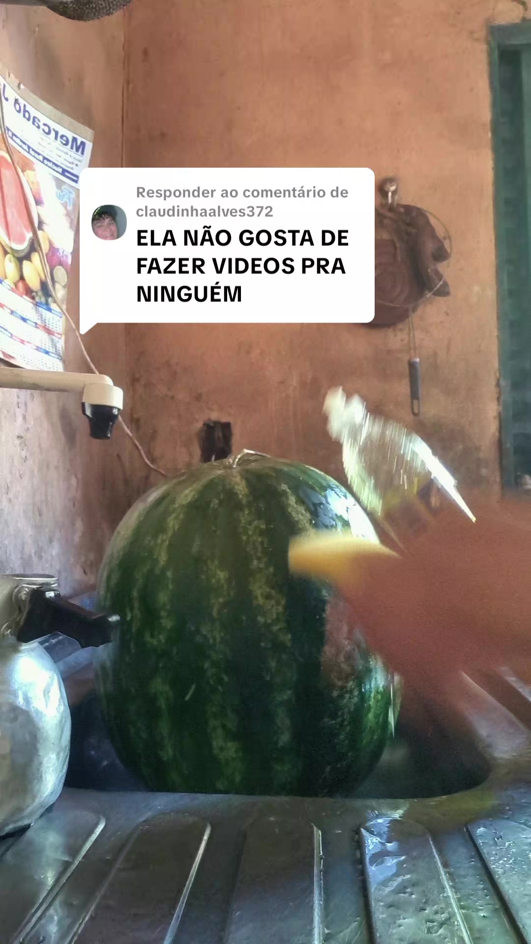 @dorasantos545