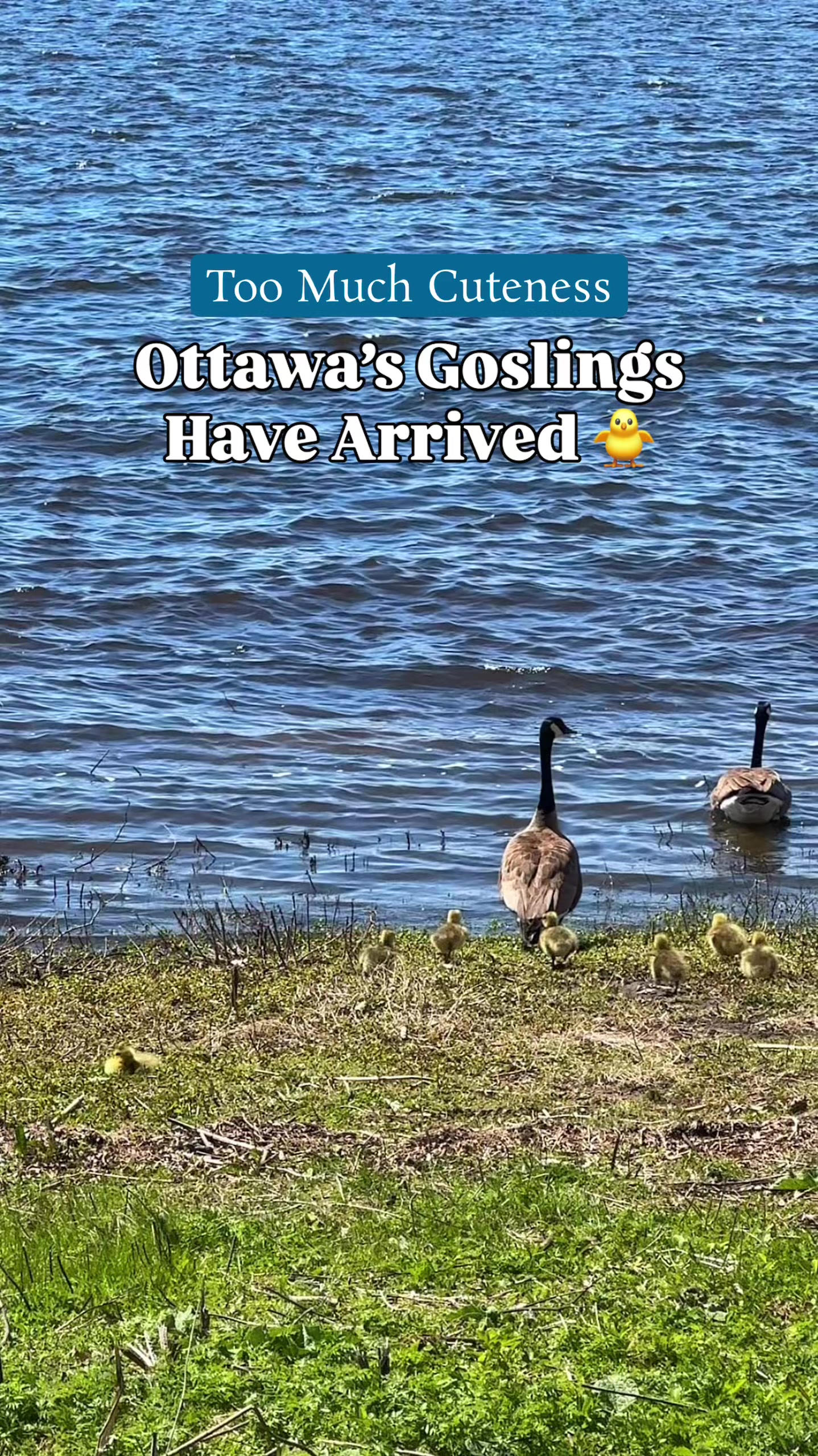 @Ottawa Is Not Boring