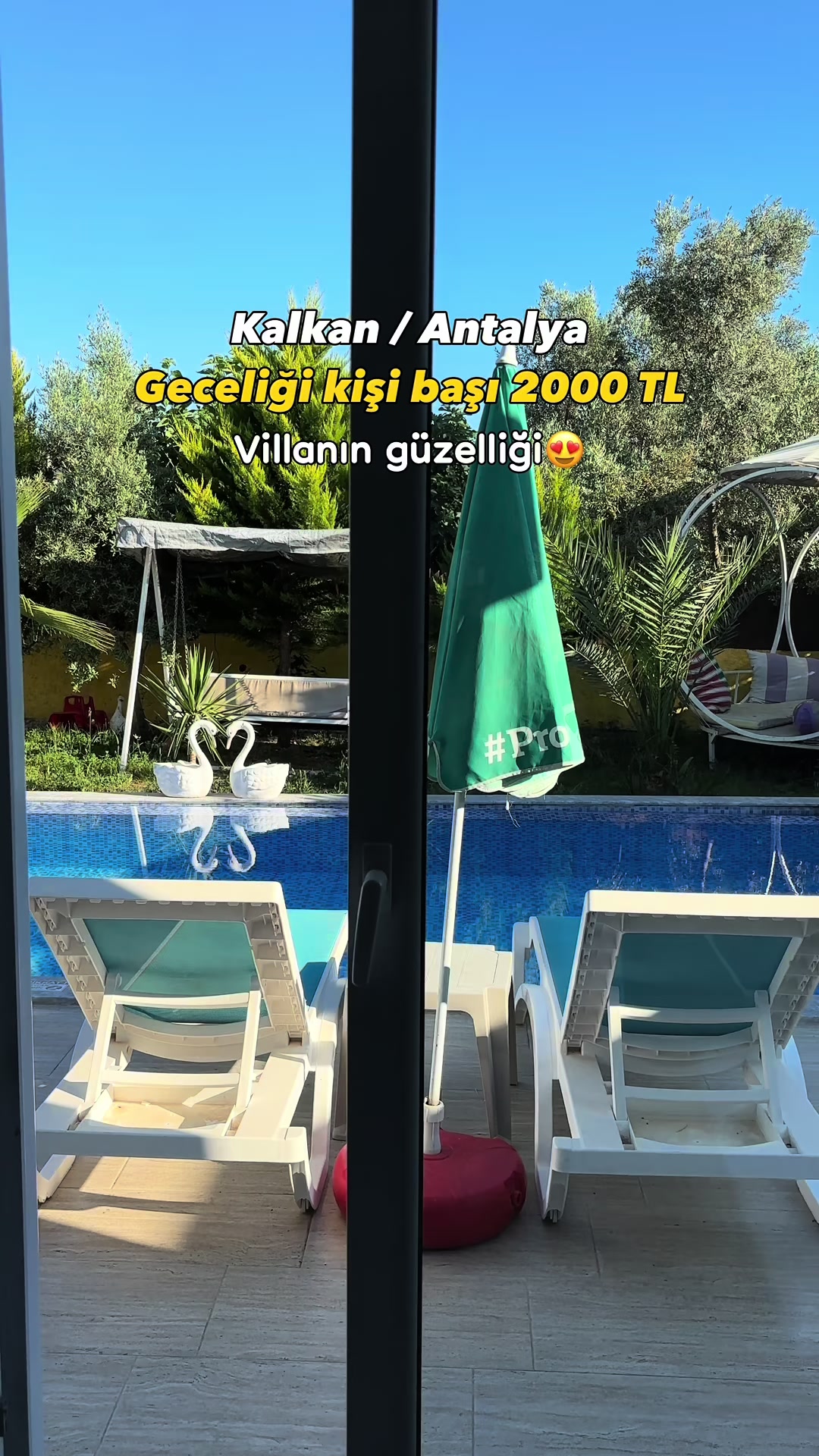 @Didem K.cln