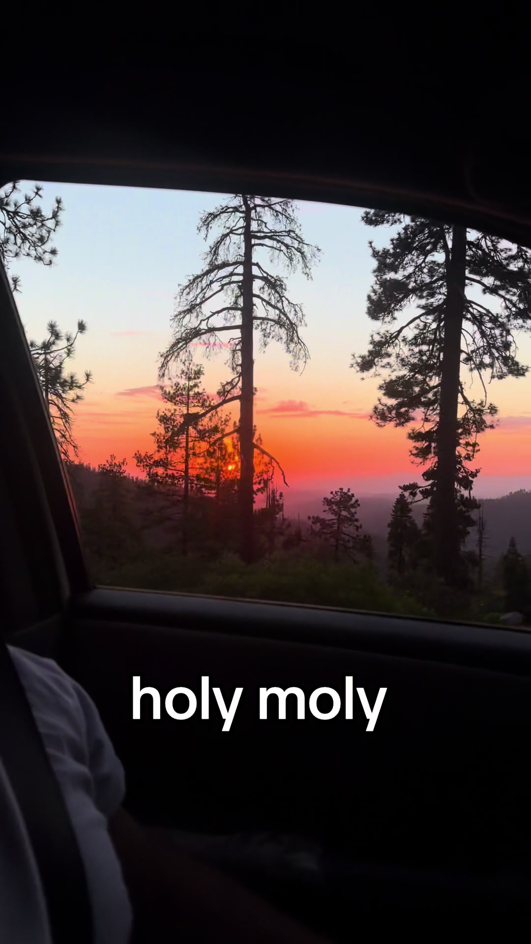 @kitty bobbi