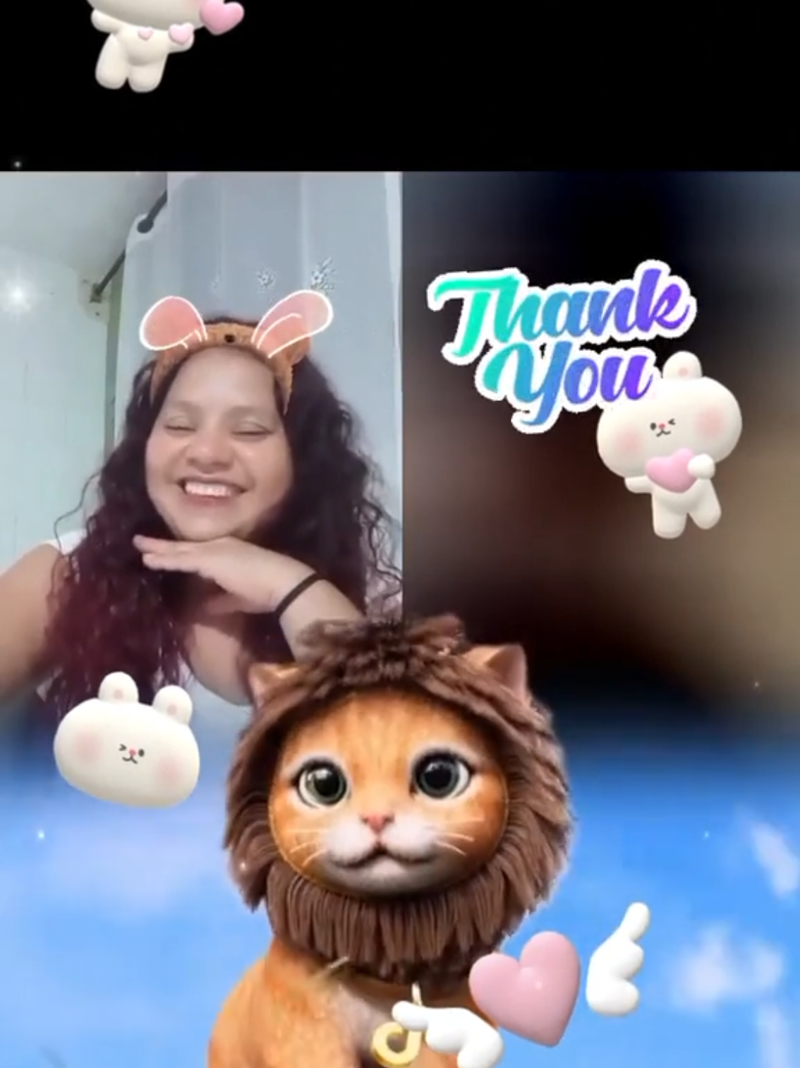 @😻GATINA