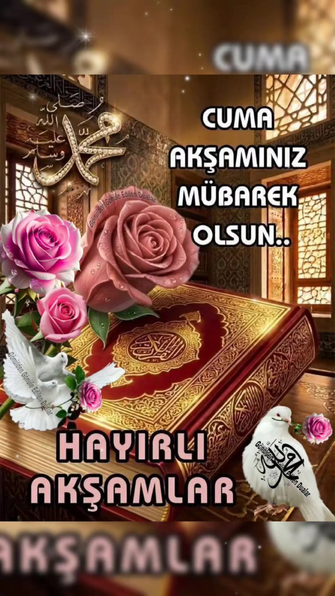 @Mehmet 46 maraşlı
