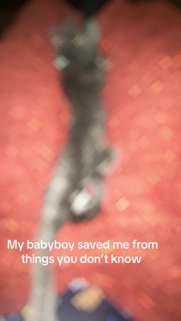 @catmomjailee123