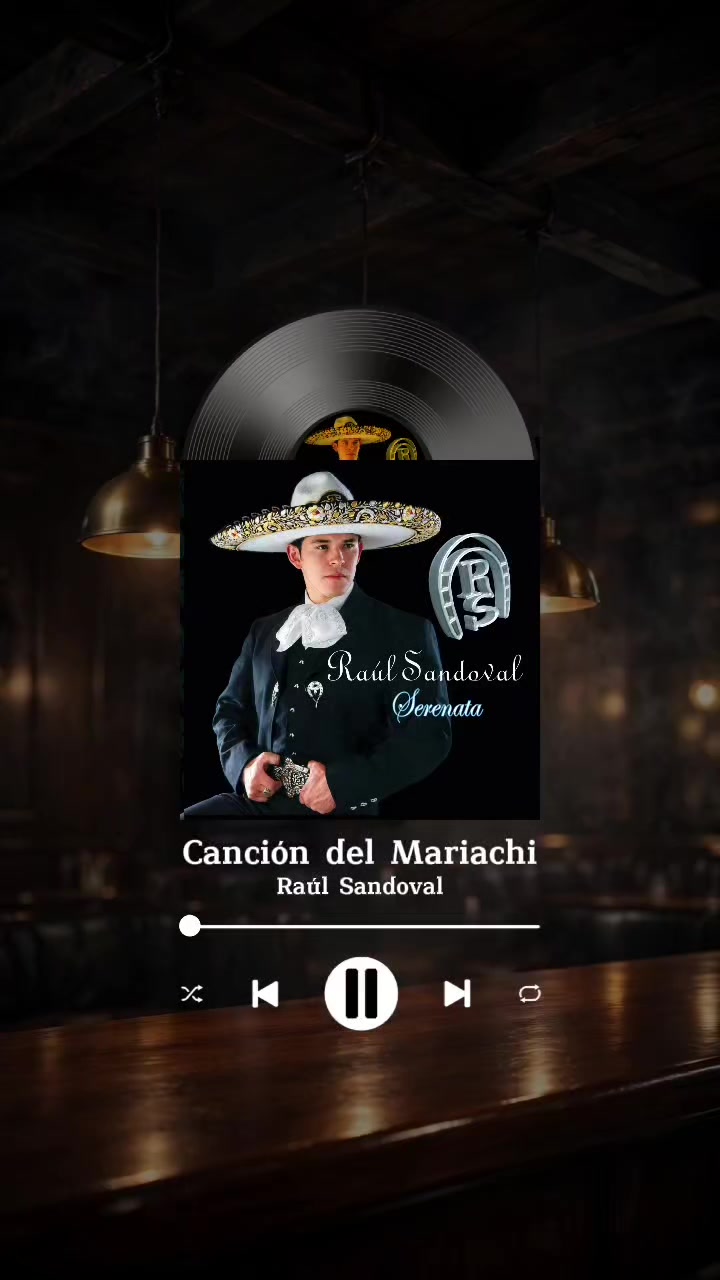 @La Coleccionista De Canciones