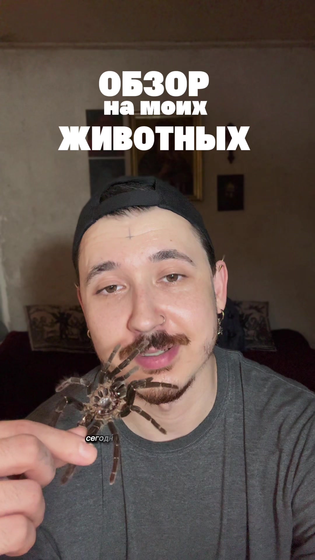 @Тима Унгольд